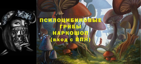 PSILOCYBIN Богданович